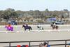 2026 Games, Flat and Musical Ride Championships Banner Photo