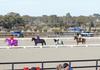 2026 Games, Flat and Musical Ride Championships Banner Photo