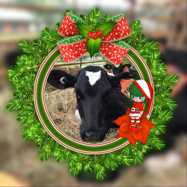 Corporate Services Manager Banner Photo