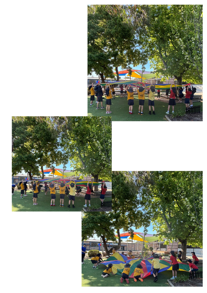 School News, Birthdays & Awards  Banner Photo