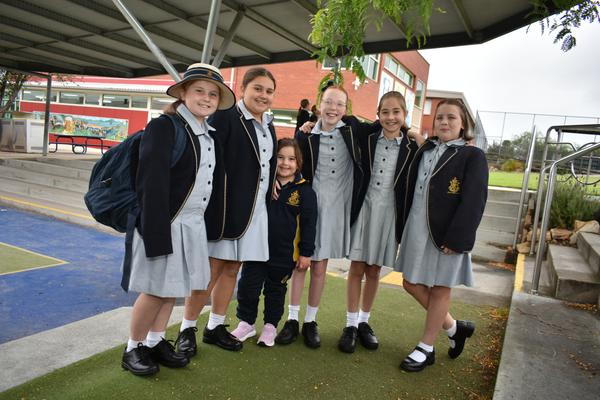 Primary News Banner Photo