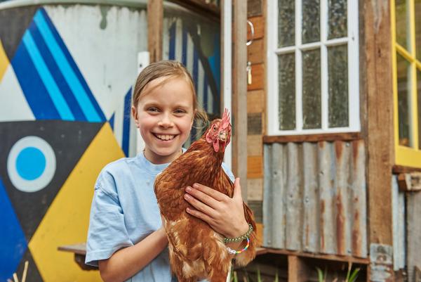 Chicken Sitters Banner Photo