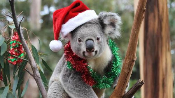  Year 3/4 News  Banner Photo