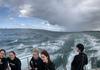 Year 11 OES Dolphin Swim Banner Photo