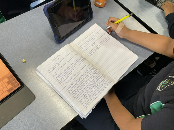 Term Four Banner Photo