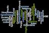 Spotlight on Curriculum Banner Photo