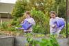 Working Bee - Saturday 16th May Banner Photo