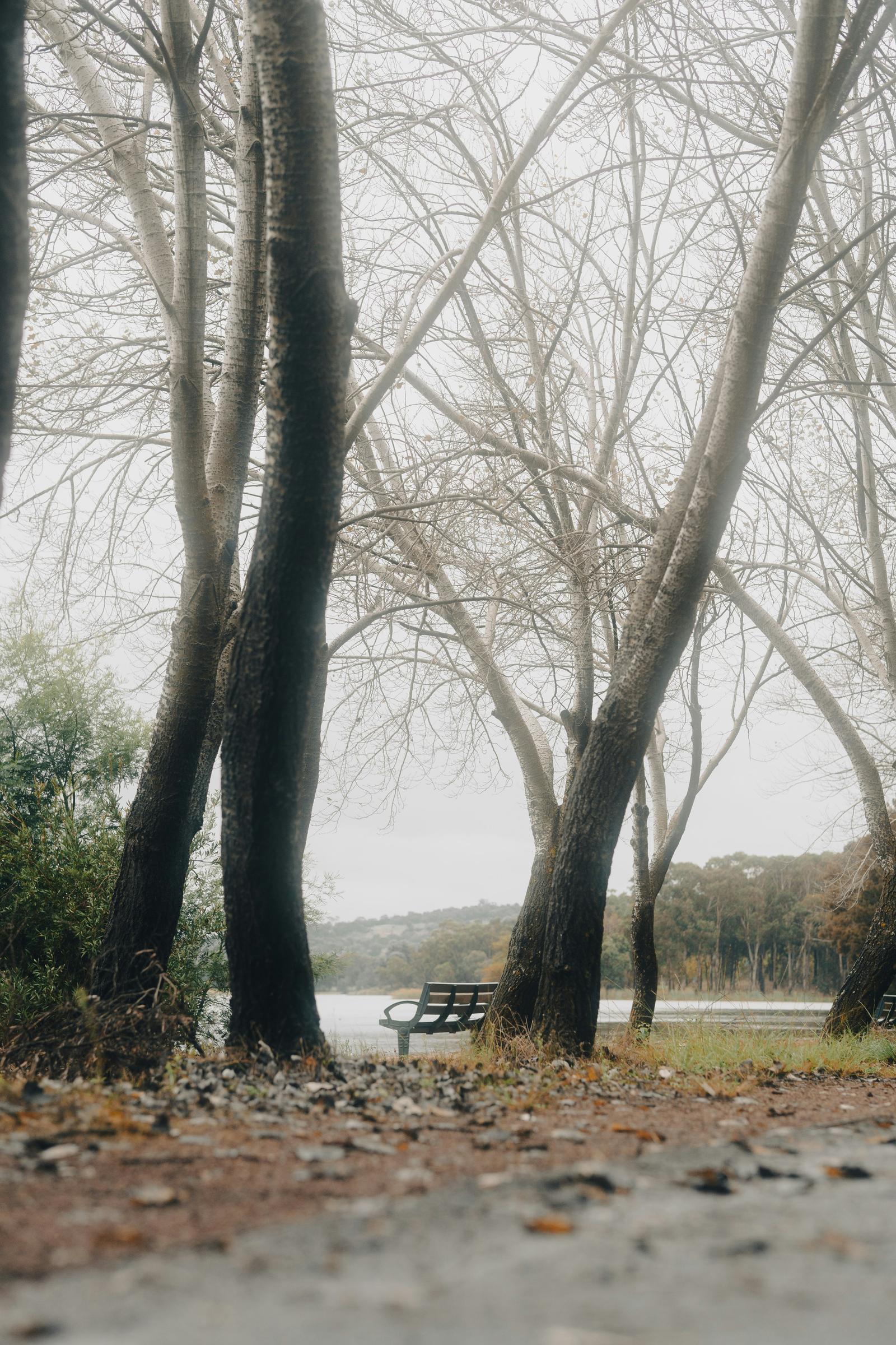 Banner Photo