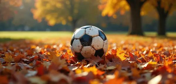 PE and Sport Banner Photo