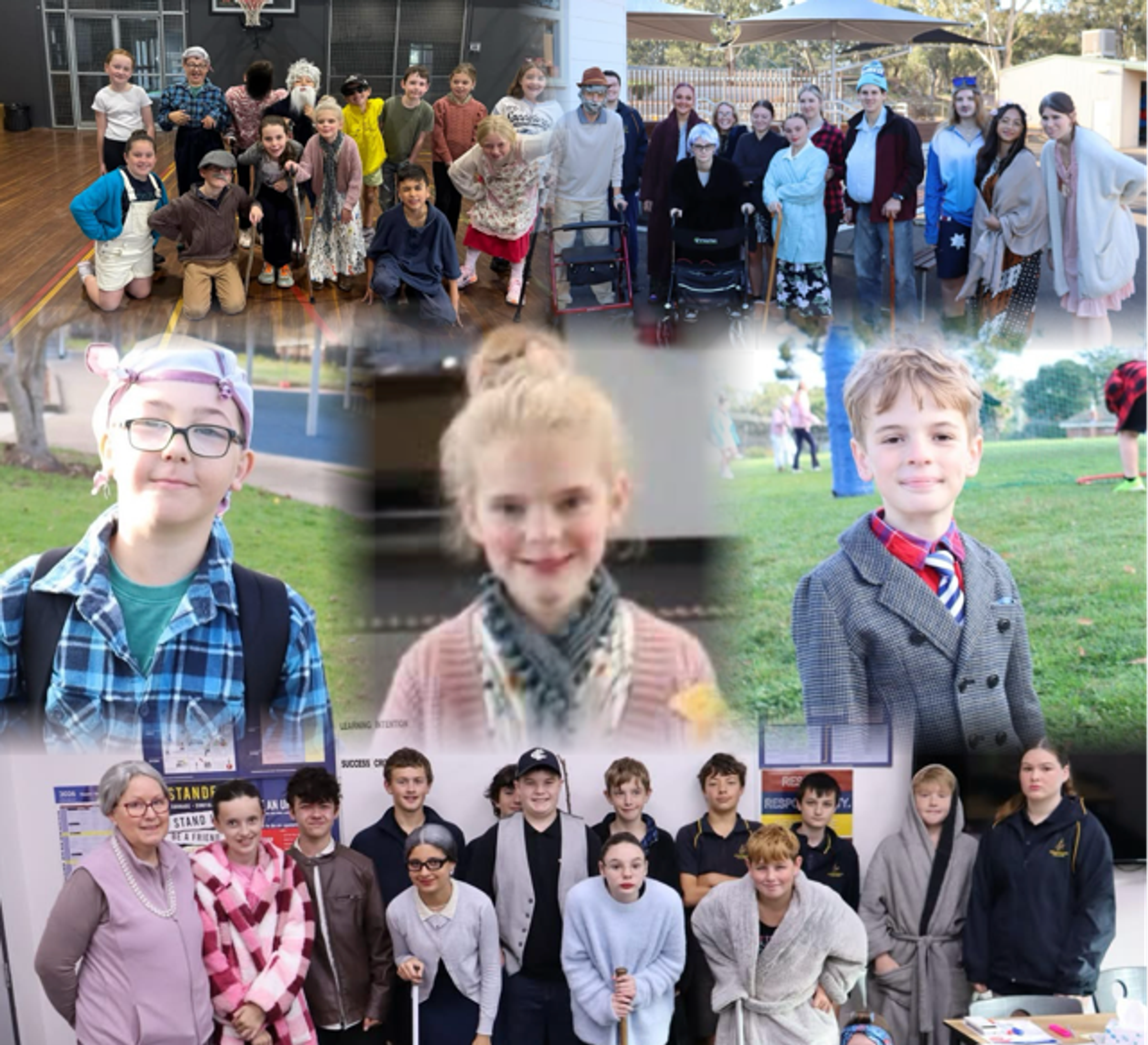 Banner Photo