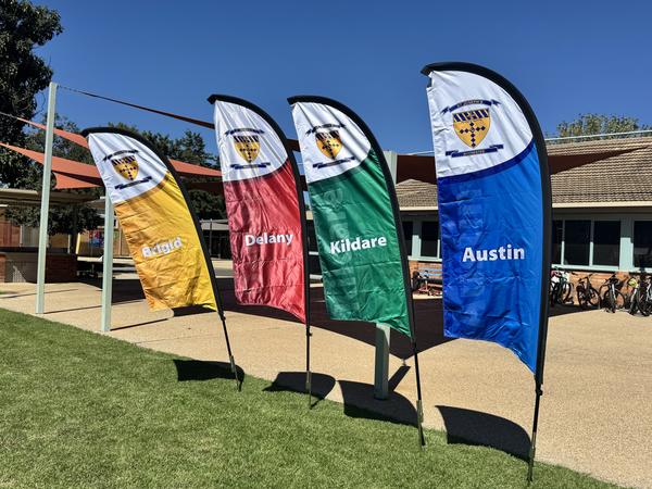 Message from Liz  Banner Photo