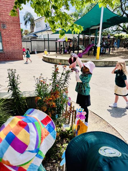 Important Dates Banner Photo