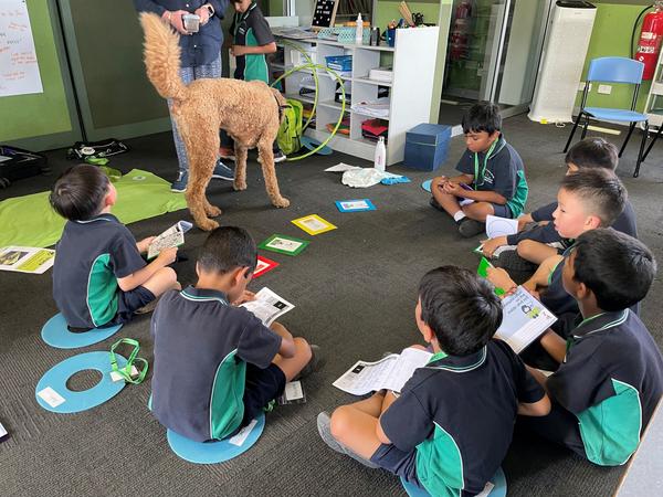 Wellbeing Corner Banner Photo