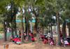 Assistant Principal's Report Banner Photo
