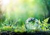 Environmental Science Banner Photo