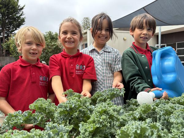 Wellbeing Banner Photo