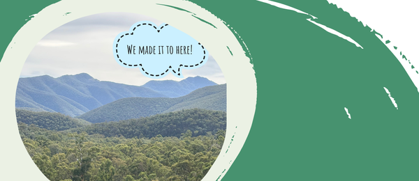 Deputy CEO's Update Banner Photo