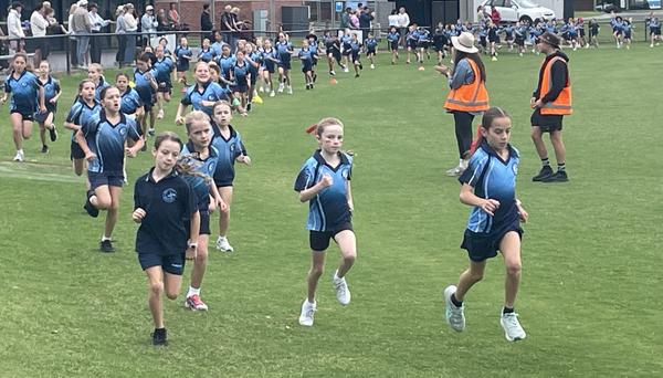 What's Happening Banner Photo