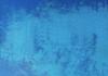 SRC FUNDRAISER Banner Photo