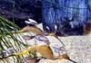 Y7 Aquarium Excursion Banner Photo