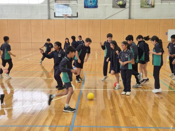 Physical Education Banner Photo