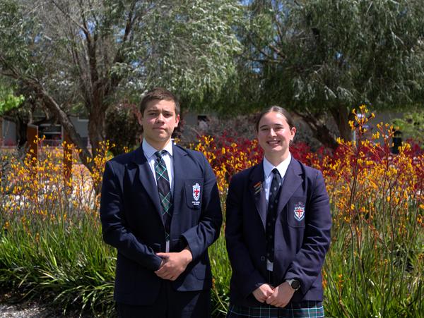 From the Boarding Captains Banner Photo