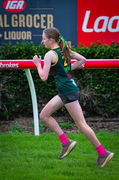 Division Cross Country Banner Photo
