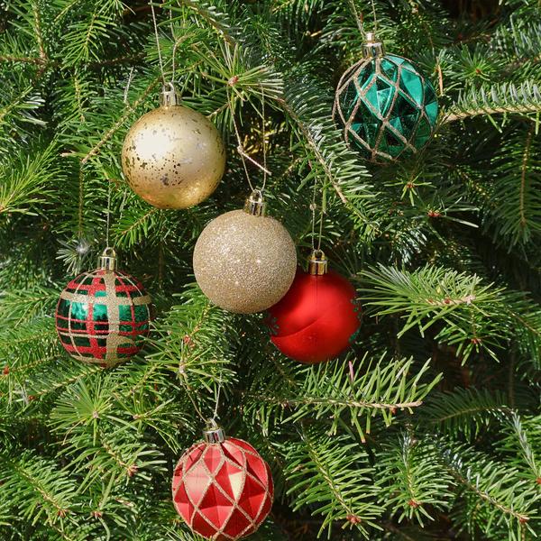 Year 5 Spotlight on Learning Banner Photo