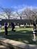 Assistant Principal’s Message  Banner Photo