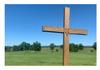TCC News Banner Photo
