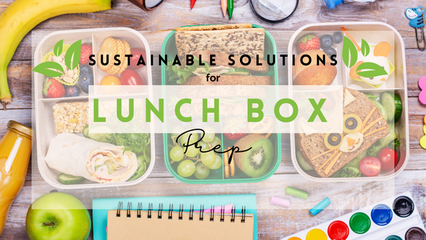 SUSTAINABILITY News Banner Photo