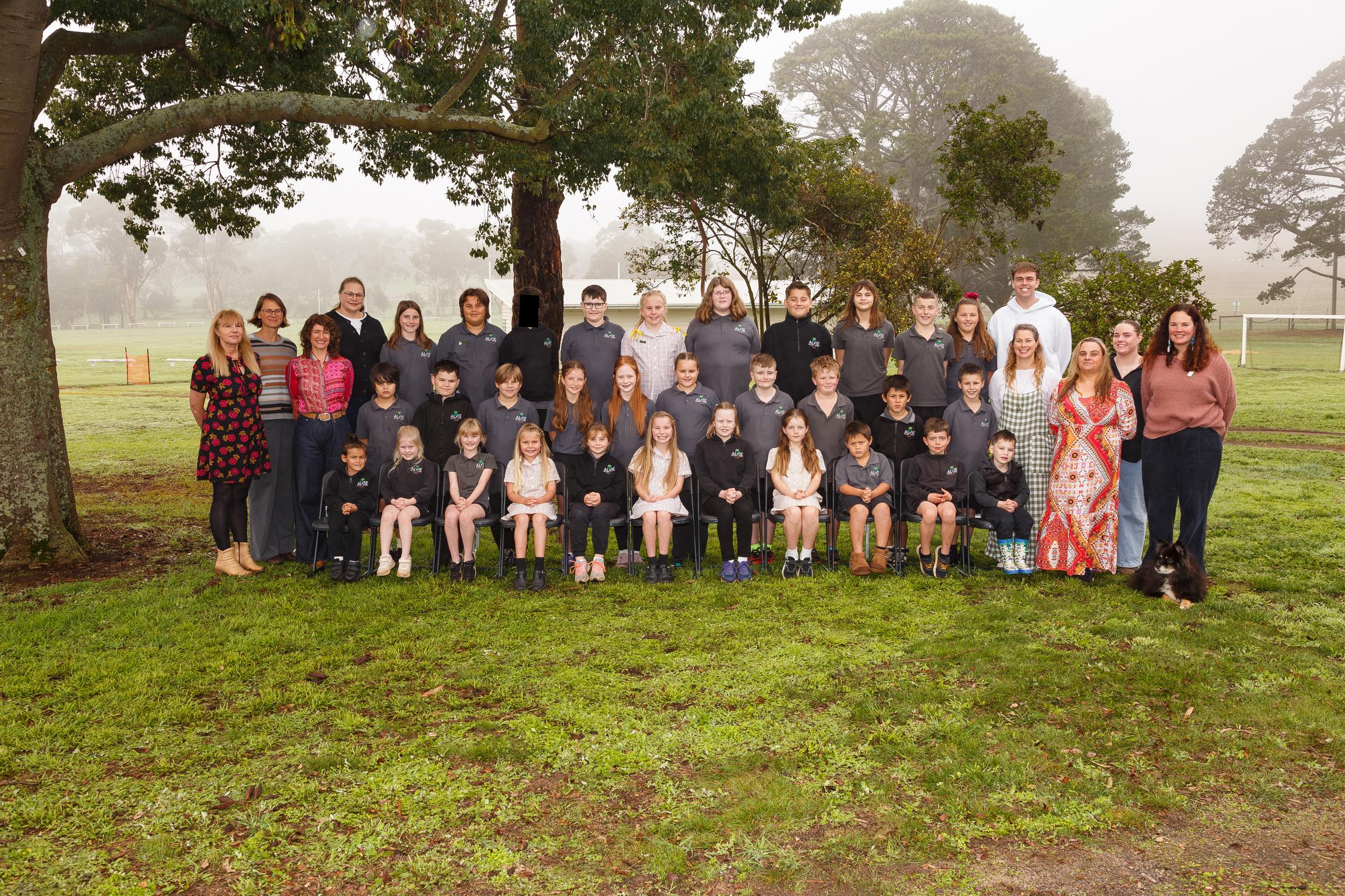 Banner Photo