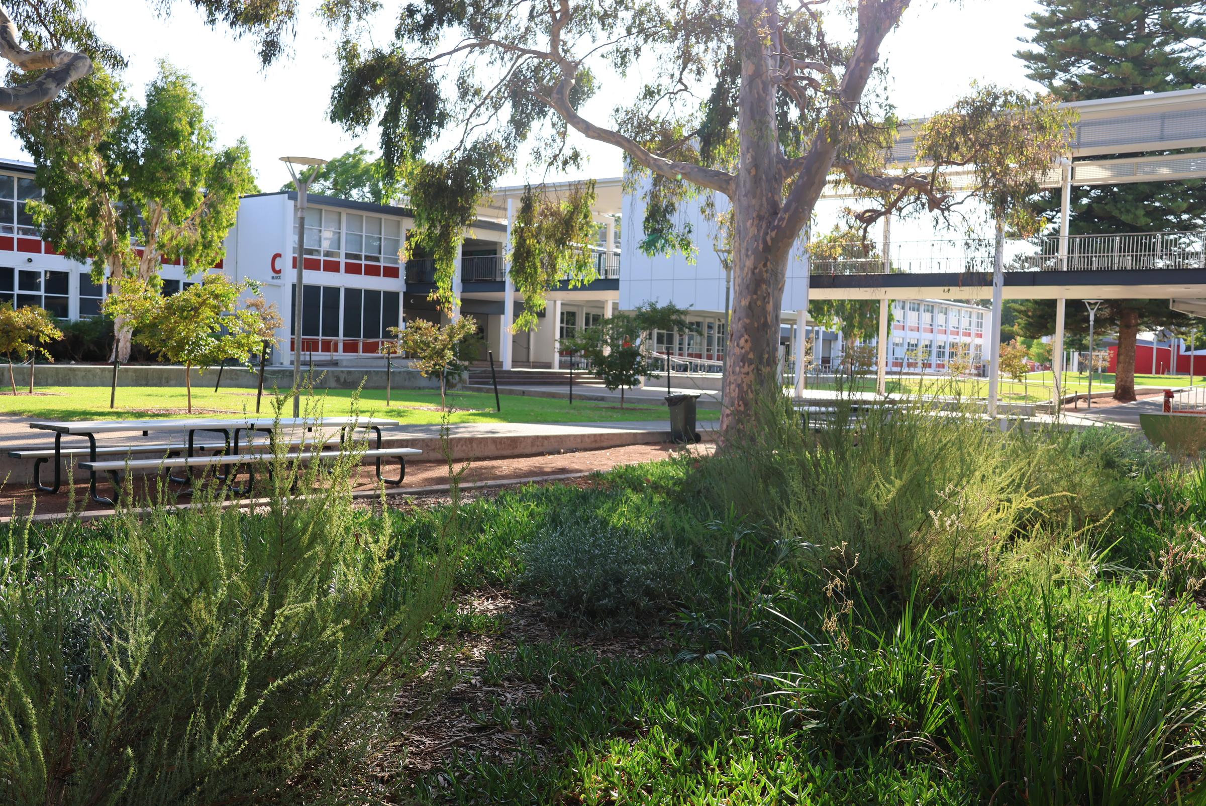 Canteen Banner Photo
