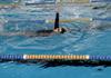 Swimming Program Banner Photo