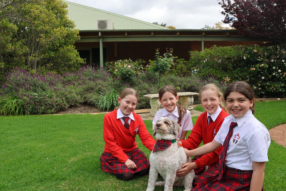 Wollaston's Wrap Issue 17