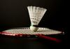 BADMINTON Banner Photo
