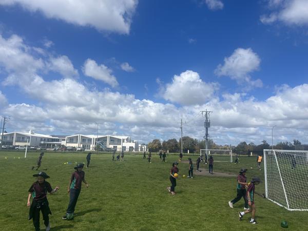 Physical Education Banner Photo