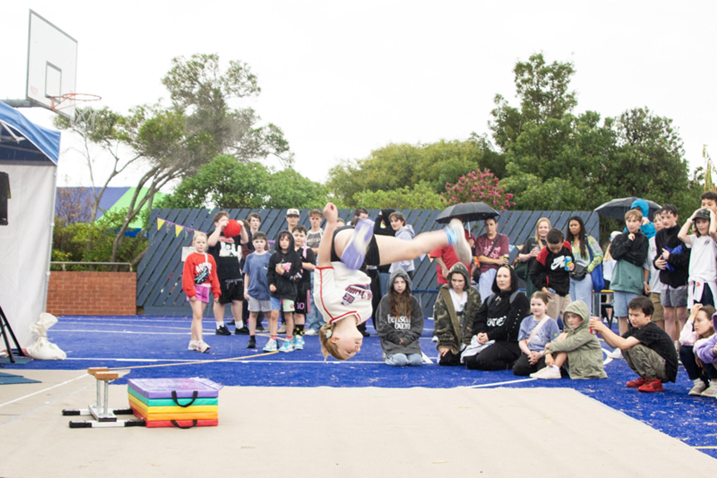 Banner Photo