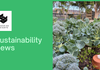 Sustainability Banner Photo
