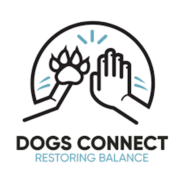 Dogs Connect Banner Photo