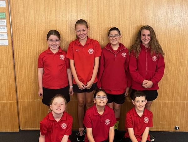 Senior Report Banner Photo