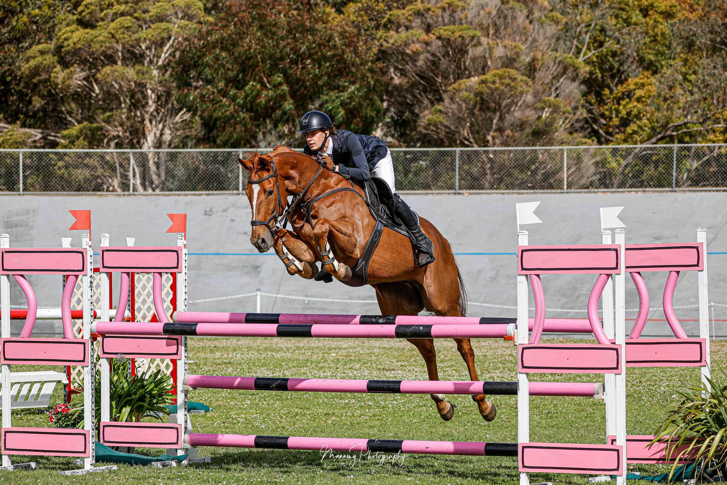 Equestrian Banner Photo