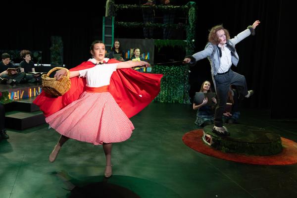 INTO THE WOODS JNR Banner Photo