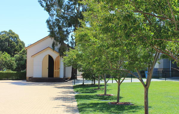 Reflection Banner Photo