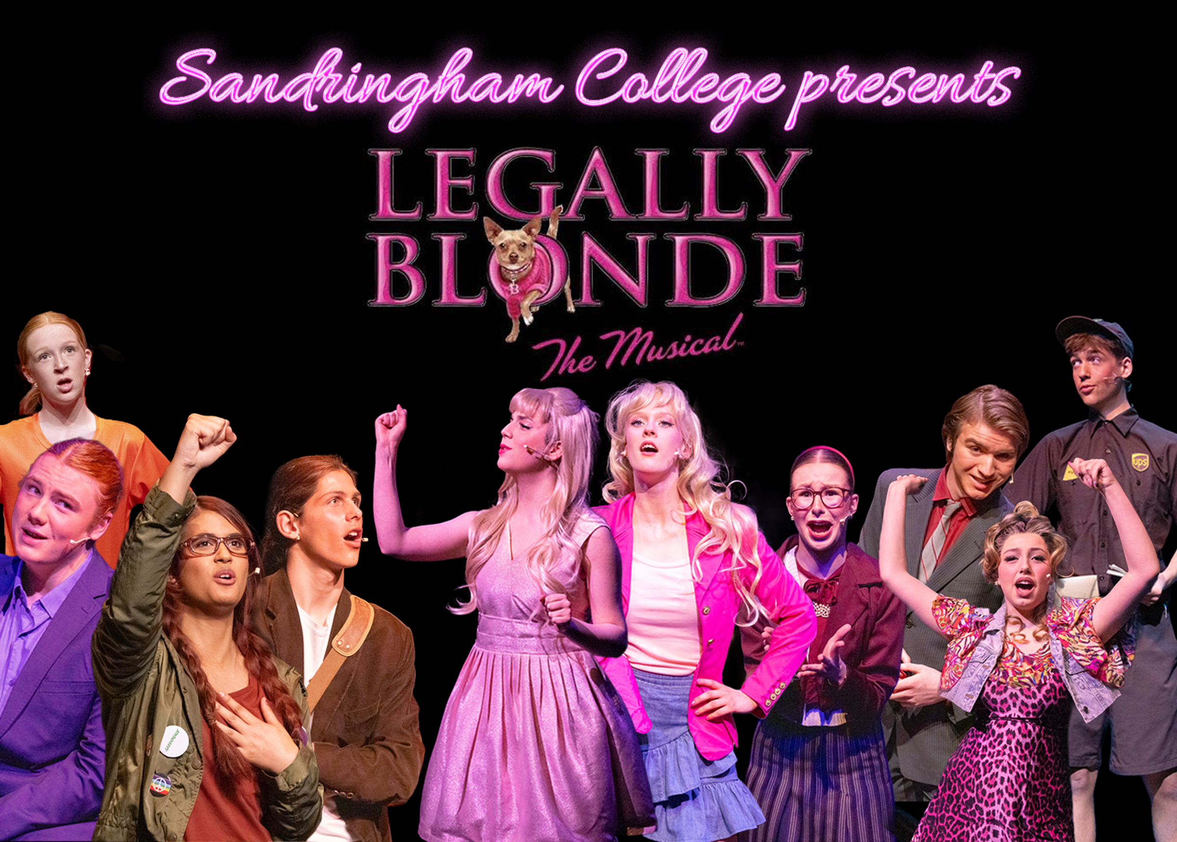 Banner Photo