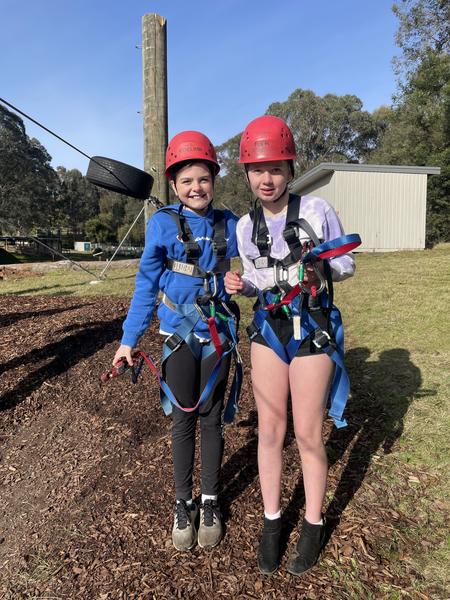 Welcome to Term 4 Banner Photo