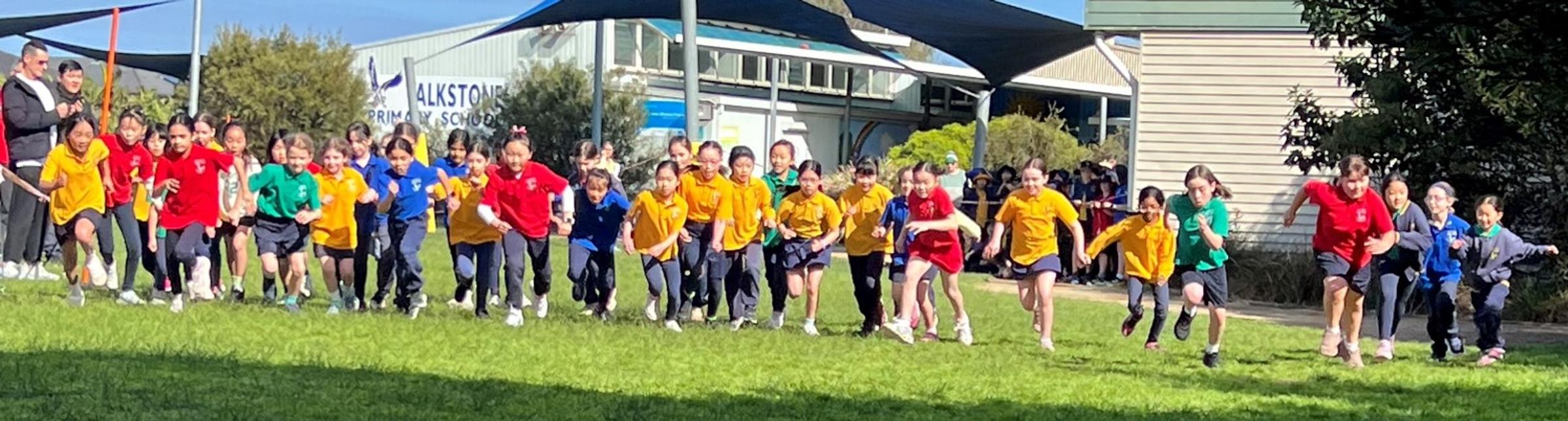 Junior Cross Country & Grade 6 Bake Sale Banner Photo