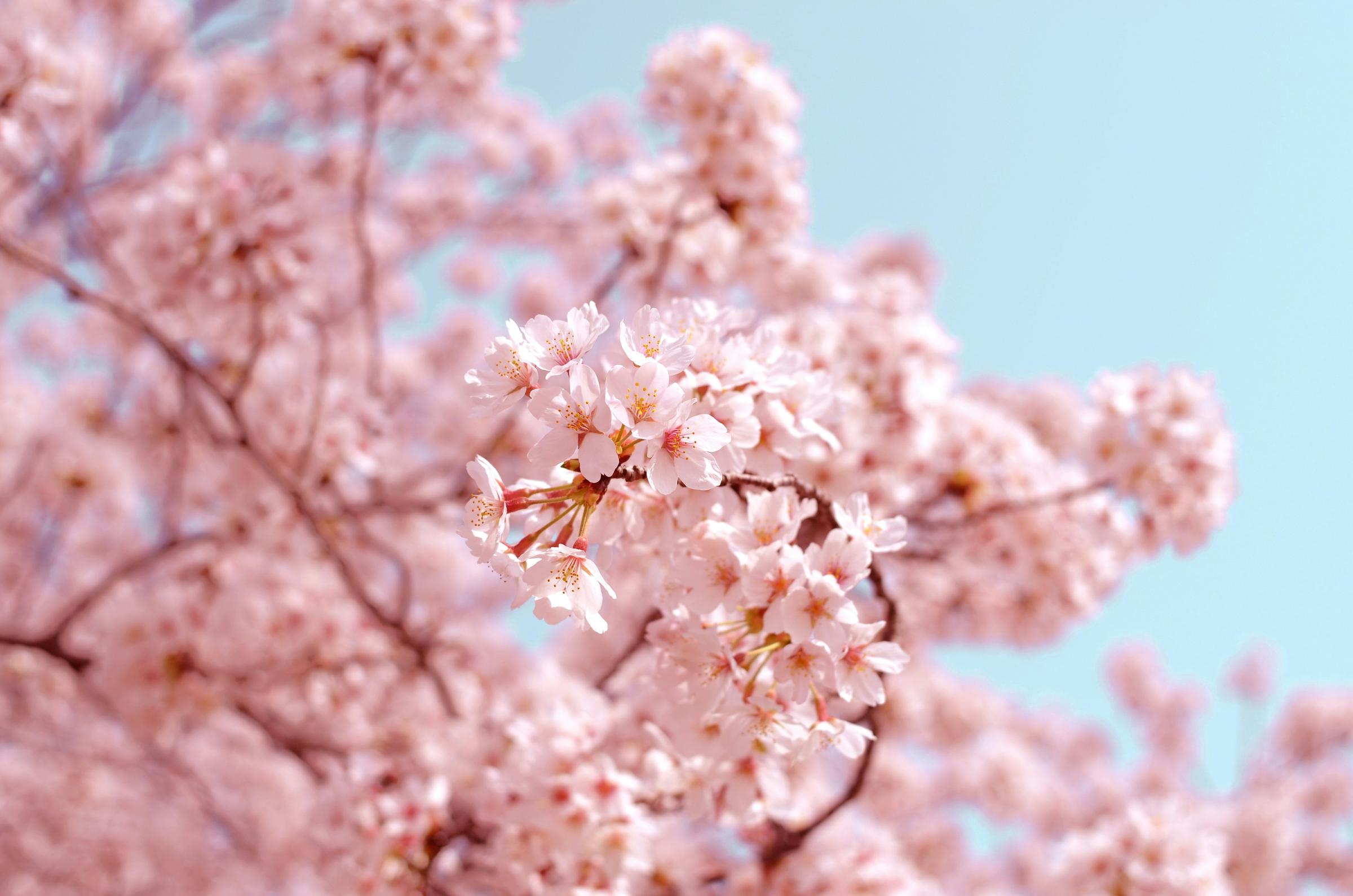 Banner Photo