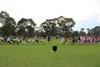 Year 7 & 8 Sub-School News Banner Photo