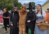 Year 12 Celebration Banner Photo